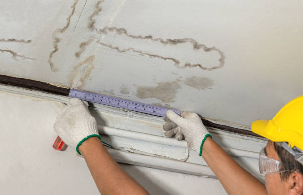 Reliable Mold Remediation contractor in Canton, TX by Local Water Damage Repair